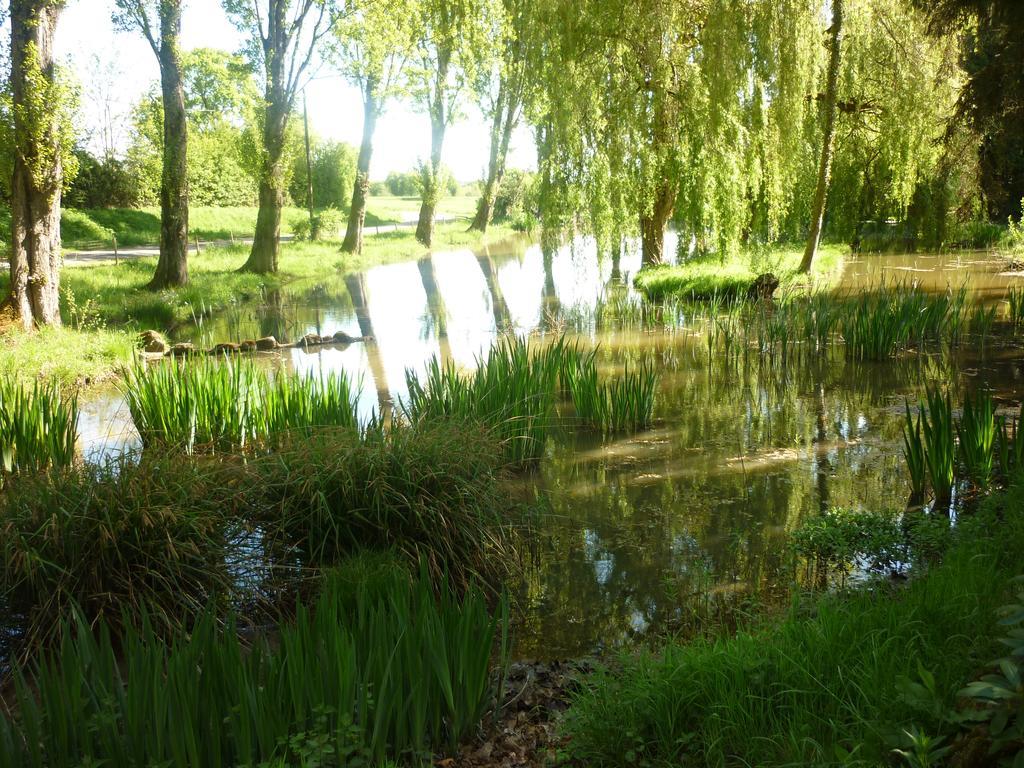 Smile & Braudieres * Mezieres-sous-Lavardin